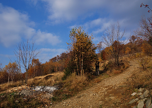 Beskid lski. Stok Rwnicy- 885 mnpm.