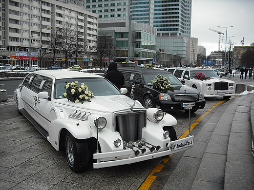 Warszawa. Targi lubne 2012.