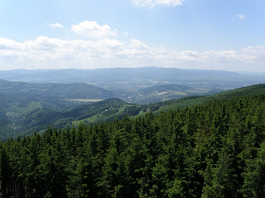 Beskid laski