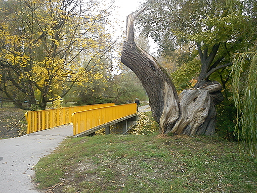 Park im.Szarych Szeregw,mostek na Silnicy