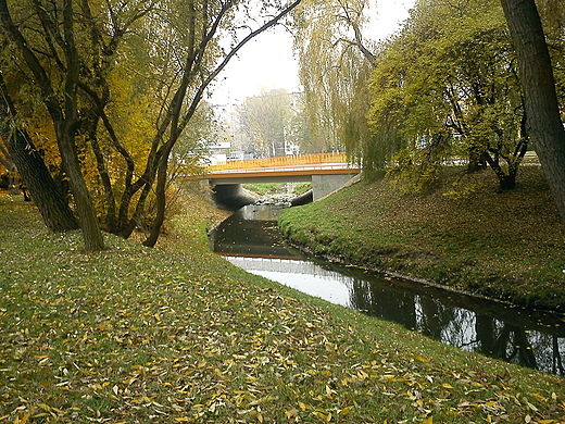 Silnica-rzeczka pynca przez Kielce