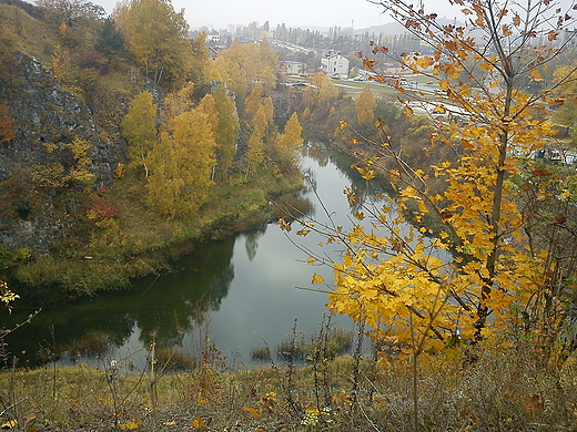 Rezerwat  Geologiczno-przyrodniczy Kadzielnia