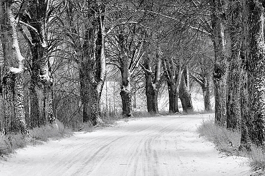 Mazury zim