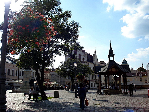 Rynek w Rzeszowie