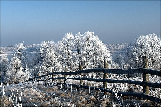 Wigierski Park Narodowy - w pobliu jez.Mulaczysko.