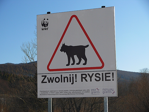 Takie znaki tylko w Bieszczadach