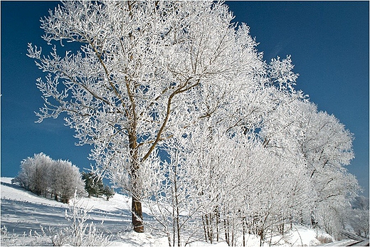 Suwalski Park Krajobrazowy - przy drodze do Smolnik.