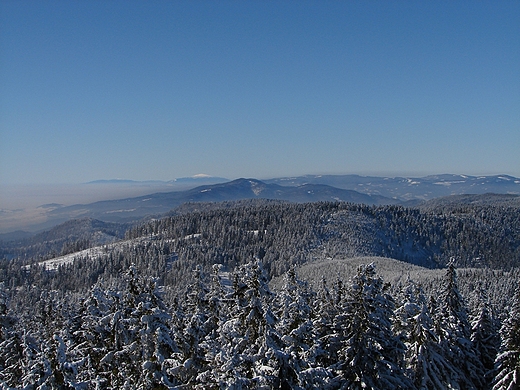 Widok z Radziejowej