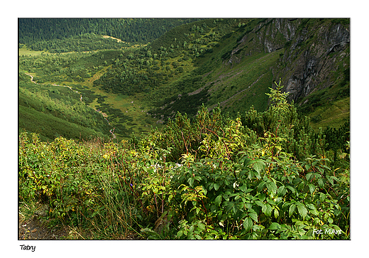 Tatry - w drodze na Giewont