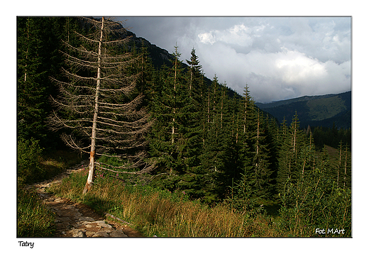 Tatry - w drodze na Giewont