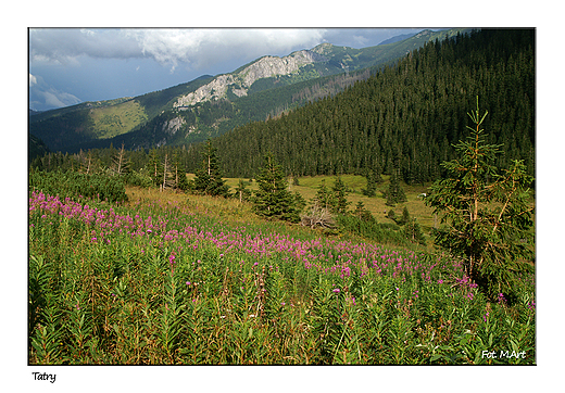 Tatry - w drodze na Giewont