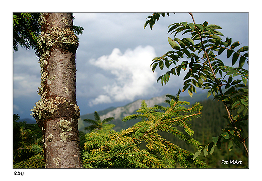 Tatry - w drodze na Giewont