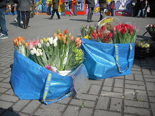 Warszawa. Dzie Kobiet 2012. Przed stacj metra Centrum.