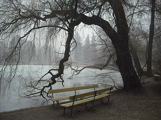 Warszawa. Park Ujazdowski w marcu.