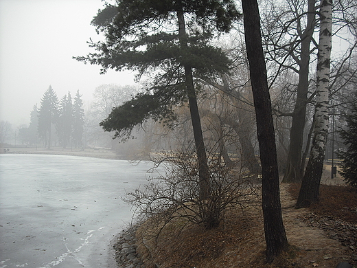 Warszawa. Park Ujazdowski w marcu.