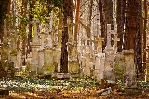 Na opuszczonym cmentarzu greckokatolickim.