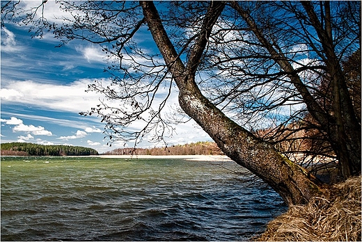 Jezioro Wigry - Zatoka PIaski.