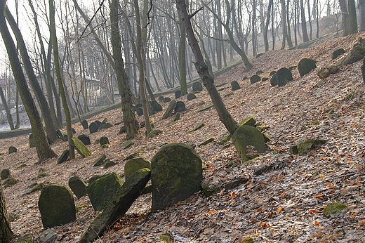 Cmentarz ydowski na Grze Zamkowej