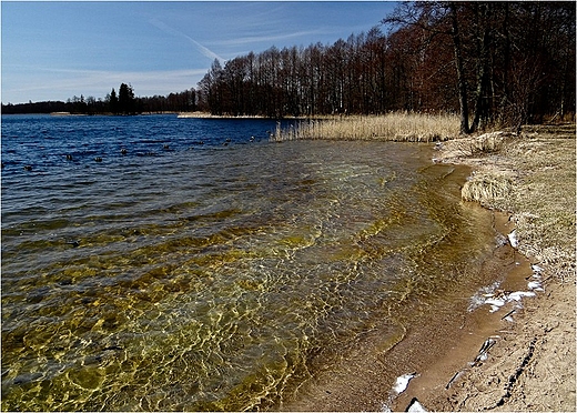 Plaa nad Jeziorem Kolenym.