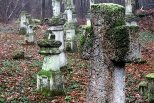 Cmentarz w Starym Brunie. Roztocze