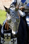 Oblenie Malborka 2012 - zbroja dla konia na turniej joust