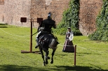 Oblenie Malborka 2012 - pokazy sprawnoci rycerzy konnych