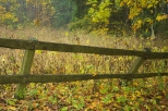 Drewniane ogrodzenie we wiosce Pstrna