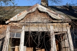 Jeleniewo - ruiny drewnianej chaupy