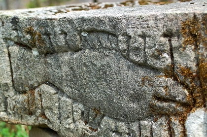 Beniowa - wspaniaa kamienna chrzcielnica lub podstawa chrzcielnicy z wizerunkiem ryby (pozostao po nieistniejcej cerkwi z 1779 r.). Bieszczady