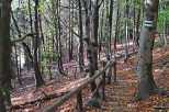 Zielonym  szlakiem na Poonin Carysk - pierwsze schody