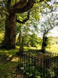 Pozostaoci cmentarza grekokatolickiego w Woosatem