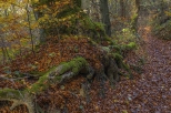 jesienny szlak na Cergow