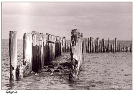 Gdynia - Gdynia Babie Doy: ruiny molo, prowadzcego do torpedowni