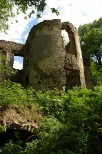 Ruiny paacu w Bolminie