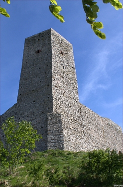 Ruiny zamku królewskiego w Chcinach