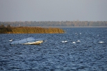 Swarzewo - widok na Zatok Puck